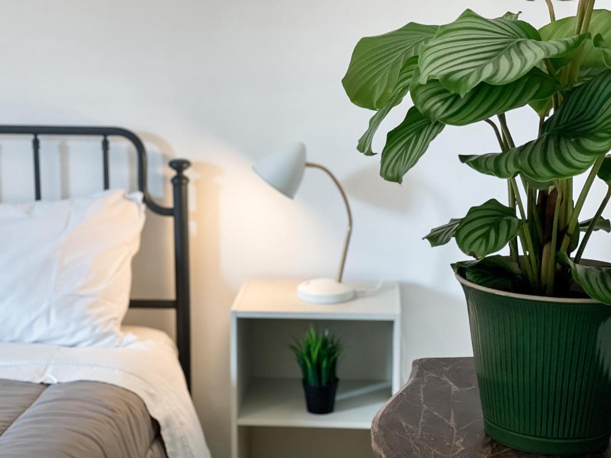 Sestio House Lägenhet Rom Exteriör bild